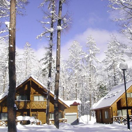 Log Cottage Epoch Hakuba Exterior photo