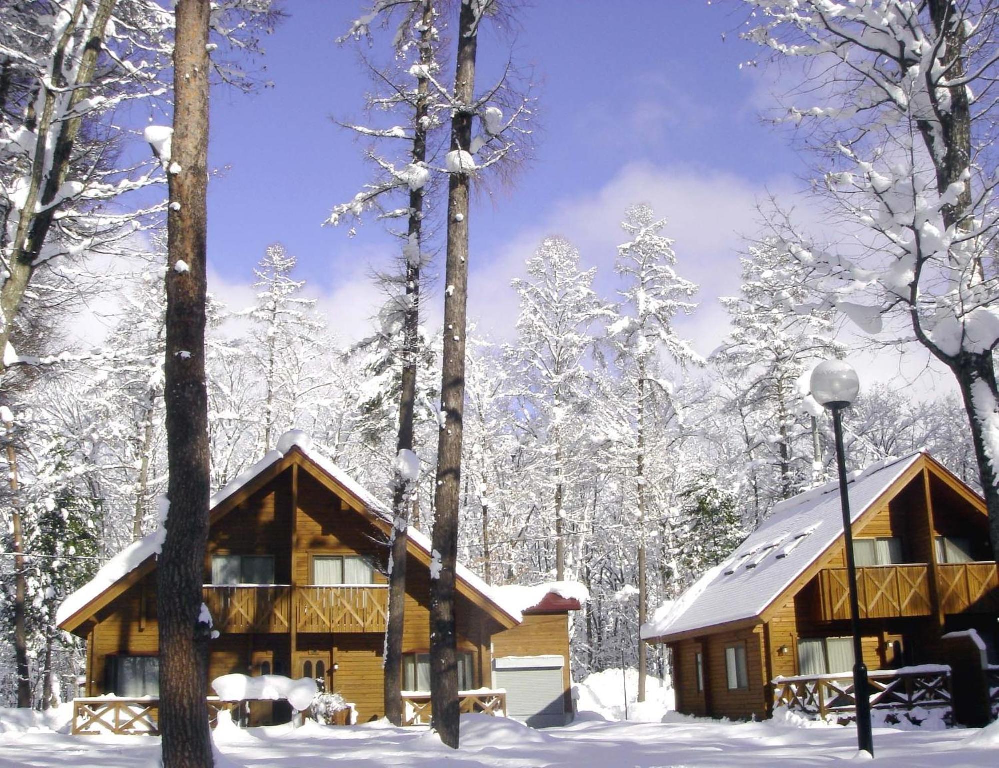 Log Cottage Epoch Hakuba Exterior photo